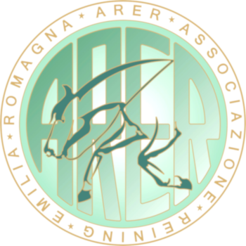 Logo Arer 2020